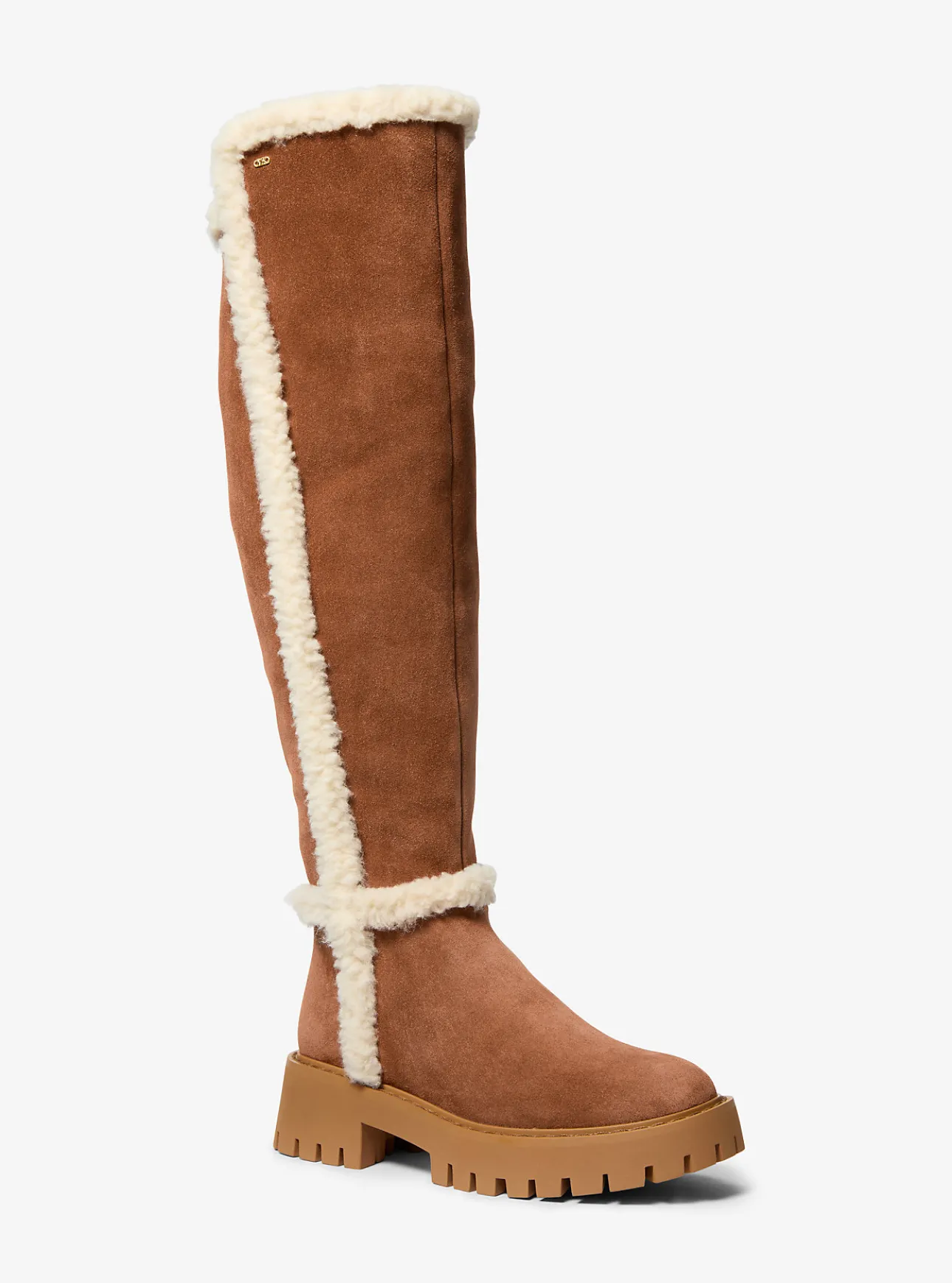 Asher Suede and Faux Shearling Boot